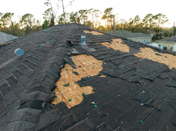 Best Roof Insulation Installation  in Xtonia, PA