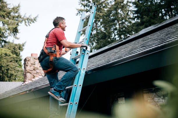Best Roof Maintenance and Cleaning  in Xtonia, PA